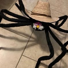 a spider with a hat on it's head