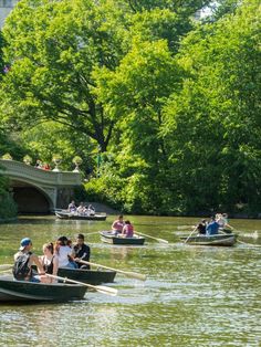 several people in small boats on a river with bridge and trees behind them as well