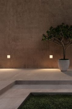 a potted plant sitting on top of a cement step next to a light filled wall