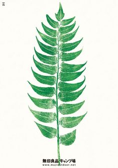 a green leaf is shown on a white background with japanese writing in the bottom corner