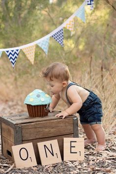 a baby boy playing with a cupcake on top of a box in the woods