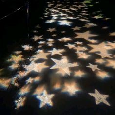 the shadows of stars cast on the ground