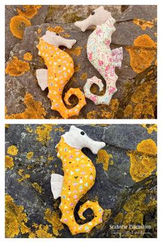 two pictures of seahorses on the rocks