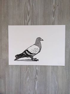 a drawing of a bird sitting on top of a piece of paper next to a wooden wall