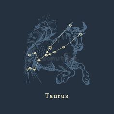 the zodiac sign taurus on a dark blue background royalty illustration