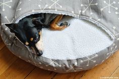 a small dog laying on top of a bed in the middle of a wooden floor