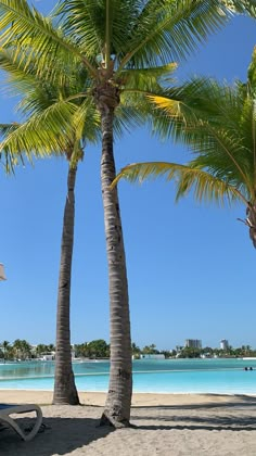 two palm trees on the beach with blue water in the background