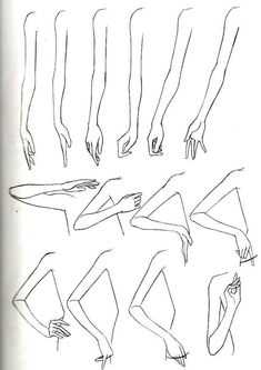 a line drawing of different poses and hands