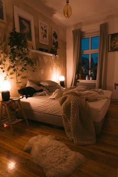 a person laying on a bed in a dimly lit room with plants and pictures above the bed