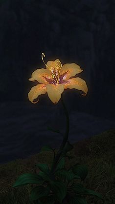 a large yellow flower sitting on top of a lush green field