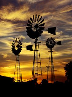 three windmills are silhouetted against the sunset