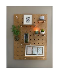 a wooden peg board with pictures and plants on it