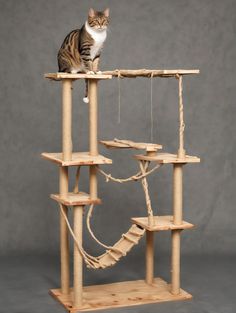 a cat sitting on top of a wooden structure with ropes attached to it's sides