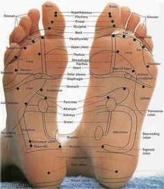 Foot Massage Chart, Reflexology Foot Chart, Khon Kaen, Reflexology Chart, Foot Reflexology, Young Living Oils, Yoga Sequences, Foot Massage, Essential Oil Uses