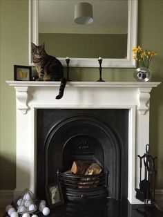 a cat sitting on top of a fireplace next to a mirror