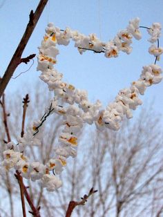 a heart shaped branch with flowers hanging from it's branches in the shape of a heart