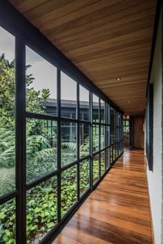 a long hallway with lots of windows and plants on the wall next to each other