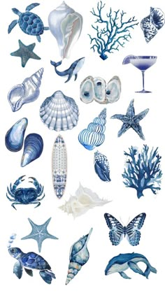 various sea animals and shells on a white background