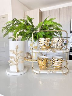 a white counter top topped with lots of cups and saucers next to a potted plant