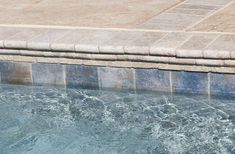 a dog sitting on the edge of a swimming pool