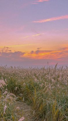 the sky is pink and purple as the sun sets in the distance over an open field with tall grass