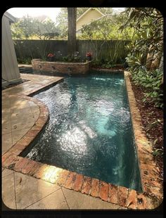 an outdoor swimming pool surrounded by trees and plants in a backyard area with brick edging