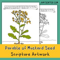 the parable of mustard seed is shown in two separate pictures, one with yellow flowers and