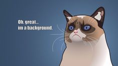 a grumpy cat with blue eyes stares into the distance, and says oh great i'm a background