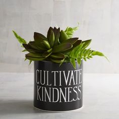 a potted plant sitting on top of a table next to a sign that says culttive kindness