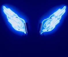 two angel wings that are glowing in the dark