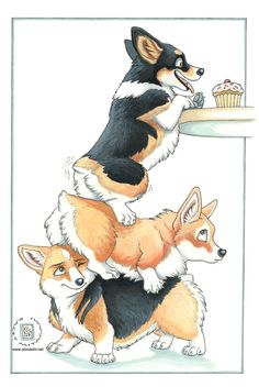 two corgi puppies playing with a piece of cake on a plate and one is jumping up