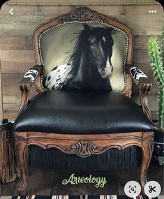 a black and white horse sitting on top of a wooden chair next to a cactus