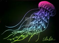 a neon lit jellyfish in the dark