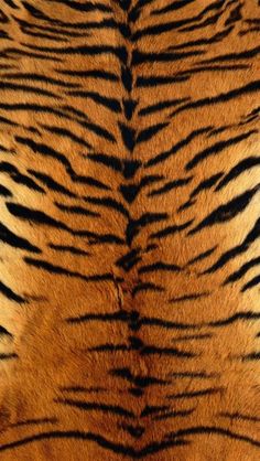 an animal's skin is shown in this close up photo, with black and brown stripes