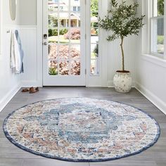 a large blue rug is in front of a white door with glass windows and a potted plant