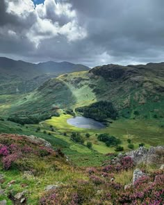 a valley with purple flowers on the side and mountains in the background under a cloudy sky