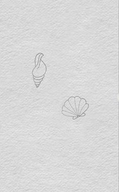 two seashells drawn on white paper