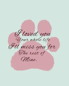 a pink paw print with the words loved you, your whole life all miss you for the rest of mine