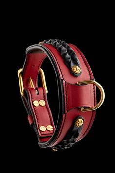 a red leather dog collar with gold hardwares and spikes on the front, black background