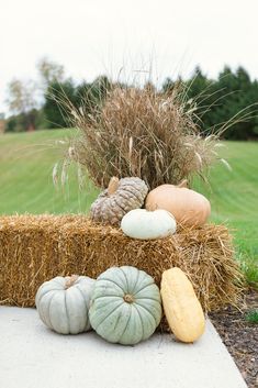 pumpkins and gourds are sitting on hay bales