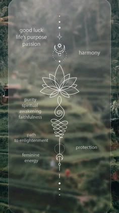 the seven chakras are depicted in this graphic