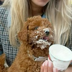 a woman holding a brown dog in her lap while eating ice cream from a cup