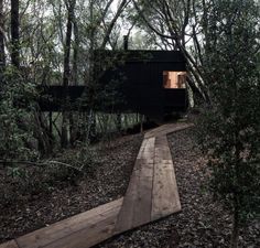 a wooden walkway in the woods leading to a black cabin that is surrounded by trees