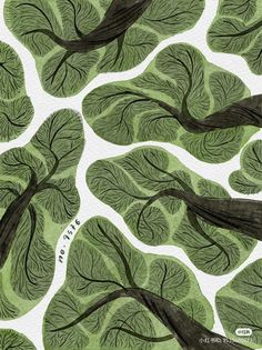 an illustration of trees with green leaves on them