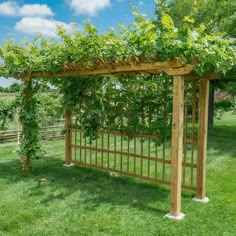 a wooden pergoline with vines growing on it's sides in the grass