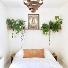 there is a bed with two plants on the headboard and a painting above it