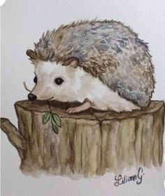 an illustration of a hedge sitting on top of a piece of wood with leaves in its mouth