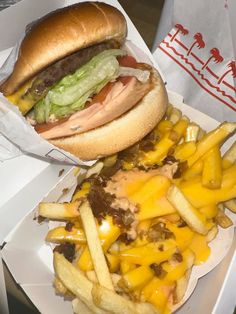 a cheeseburger and fries are sitting on the table