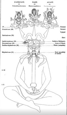 Kashmir Shaivism, Kundalini Yoga Poses, Shiva Yoga, Kriya Yoga, Jyotish Astrology, Kundalini Awakening, Chakra Art