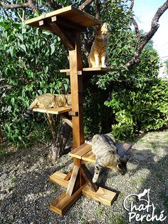 two cats are climbing up and down a wooden bird feeder in the yard with trees behind them